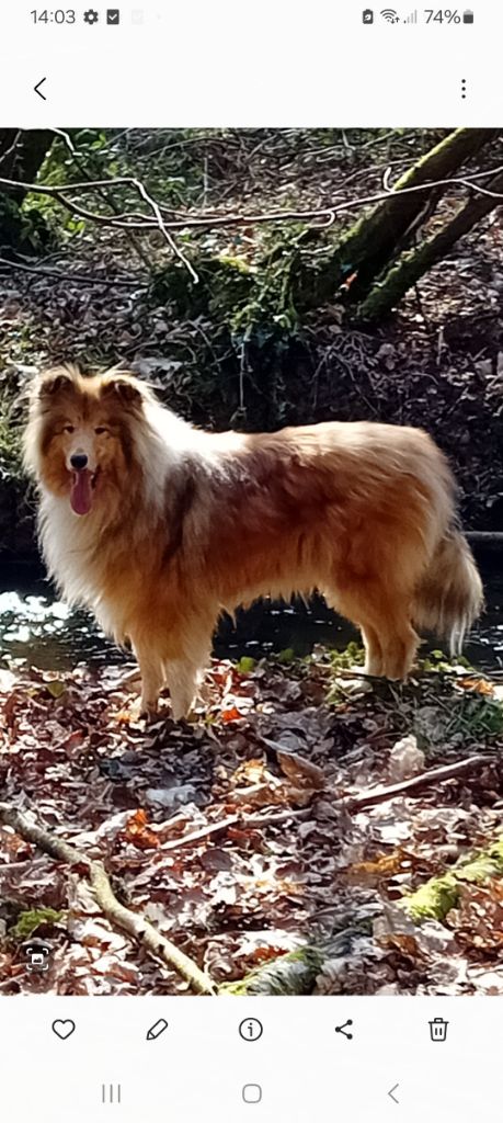 Ulécy du Soleil Doux